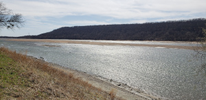 Turkey Mountain March 2022